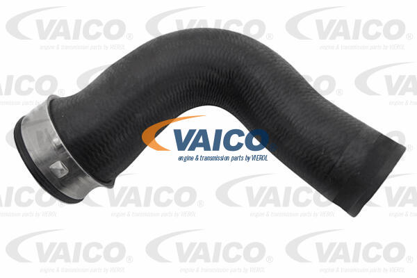 Ladeluftschlauch Ladeluftkühler rechts Vaico V30-3199 Ladeluftschlauch Ladeluftkühler rechts Vaico V30-3199 von Vaico
