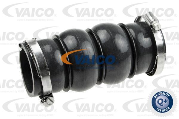 Ladeluftschlauch Vaico V42-0579 von Vaico
