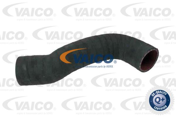Ladeluftschlauch Vaico V95-0351 von Vaico