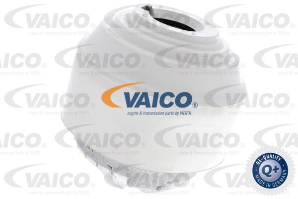 Lagerung, Motor beidseitig vorne Vaico V30-8191 von Vaico