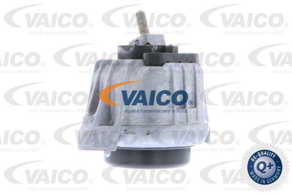 Lagerung, Motor vorne Vaico V20-0794 von Vaico