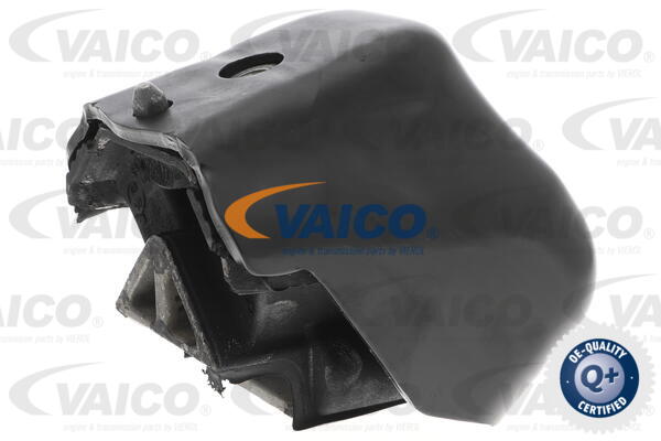 Lagerung, Motor vorne Vaico V30-2339 von Vaico