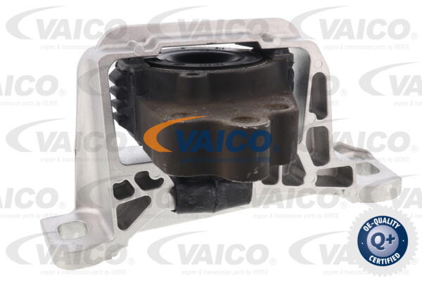 Lagerung, Motor vorne rechts Vaico V25-0844 von Vaico
