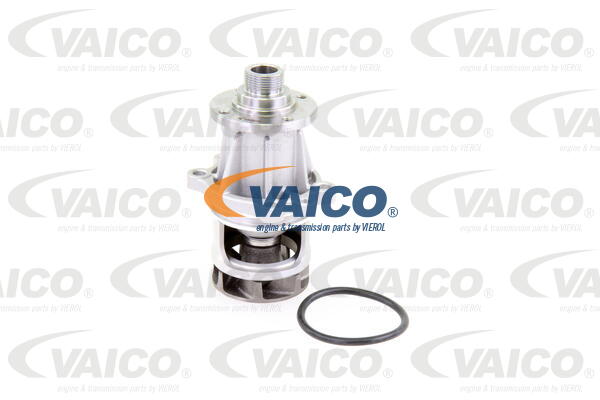 Wasserpumpe, Motorkühlung Vaico V20-50015 Wasserpumpe, Motorkühlung Vaico V20-50015 von Vaico