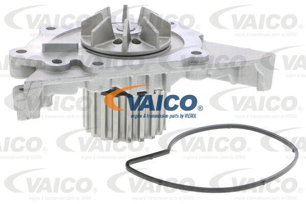 Wasserpumpe, Motorkühlung Vaico V42-50000 von Vaico