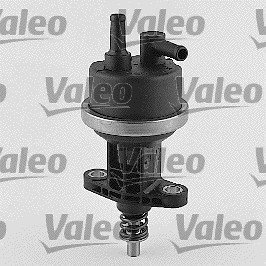 Valeo 247151 Kraftstoffpumpe von Valeo