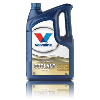 Valvoline 5 L Kühlmittel MULTIVEHICLE COOLANT (G11, G12, G12+, G12++, G13) von Valvoline