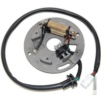 Ständer, Lichtmaschine VICMA VIC-17327 Ständer, Lichtmaschine VICMA VIC-17327 von Vicma