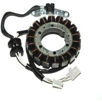 Ständer, Lichtmaschine VICMA VIC-17384 Ständer, Lichtmaschine VICMA VIC-17384 von Vicma