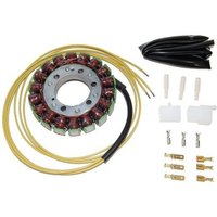 Ständer, Lichtmaschine VICMA VIC-17391 Ständer, Lichtmaschine VICMA VIC-17391 von Vicma