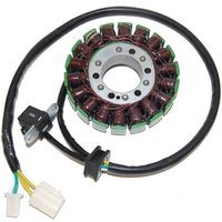 Ständer, Lichtmaschine VICMA VIC-17407 Ständer, Lichtmaschine VICMA VIC-17407 von Vicma