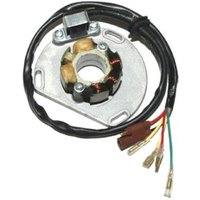Ständer, Lichtmaschine VICMA VIC-17418 Ständer, Lichtmaschine VICMA VIC-17418 von Vicma
