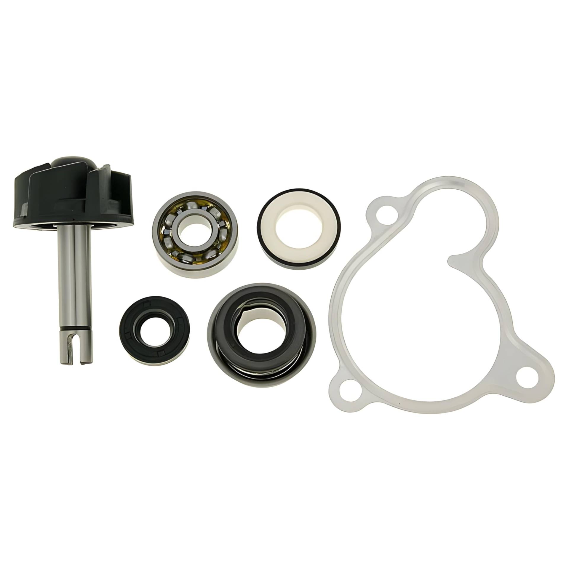 Vicma 8430525080034 Wasserpumpe Reparatursatz für Majesty, X-Max, X-City, Versity 250 von Lupsty
