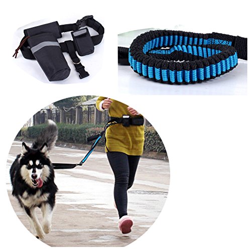 VictoryCN haustiere hundehalsband koppler double dog walker elastisch zwei hunde an der leine führen – splitter von VictoryCN