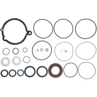 Getriebedichtungssatz VOLVO PENTA 3859050 Getriebedichtungssatz VOLVO PENTA 3859050 von Volvo Penta