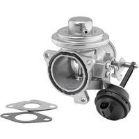 AGR Ventil WAHLER 7293D von Wahler
