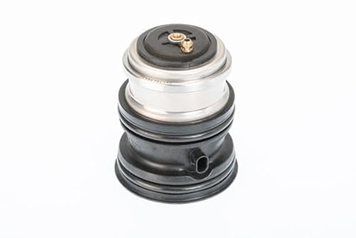 BorgWarner (Wahler) Thermostat, Kühlmittel 410448.107D von WAHLER