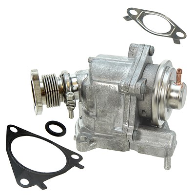Borgwarner AGR Ventil [Hersteller-Nr. 7631D] für Citroën, Fiat, Iveco, Peugeot von BorgWarner