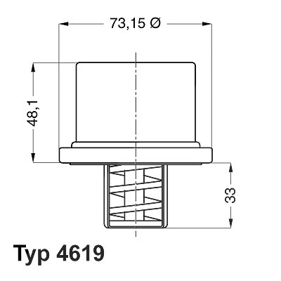 Wahler Thermostat, Kühlmittel [Hersteller-Nr. 4619.80] für BMW von WAHLER