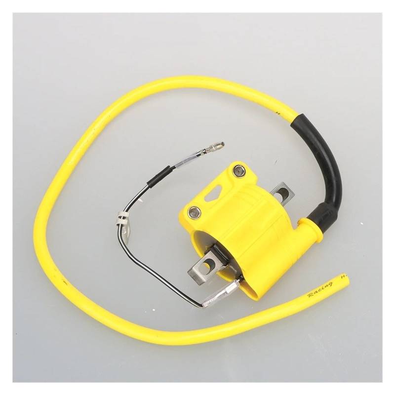 Zündspule 2T/4T Motorrad-Zündspule Universal-Rennspule Für ATV Roller Moped Go-Kart Dirtbike Für Yamaha-Motorzündung Motorrad-Zündkerze(2) von WALEQW