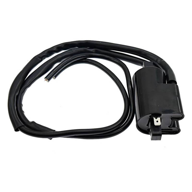 Zündspule Für Für FZ6 FZ600 FZR600 FZR600R FZS600 Für Fazer FZX700 Für Fazer FZ700 FZ750 FZR1000 Motorrad Zündspule 12V CDI Spulen Motorrad-Zündkerze von WALEQW