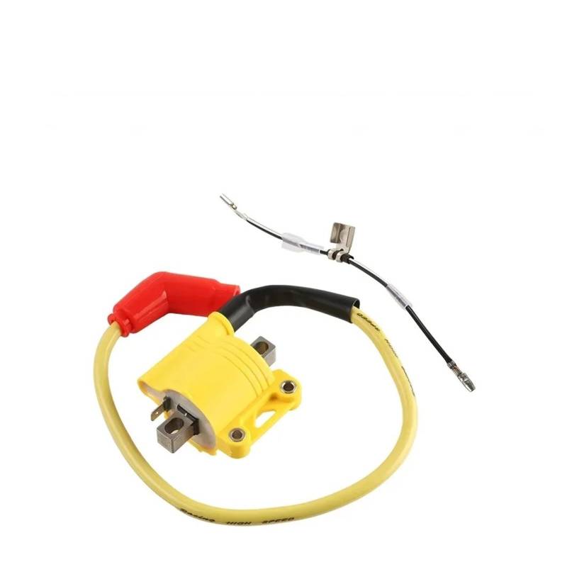 Zündspule Für ZongShen Für NC250 NC300 Für Motor NC 300 NC 250 Offroad-Motorrad CDI-Box Zündspule CDI Racing Mit DIP Einstellbare Geschwindigkeit Motorrad-Zündkerze(Only Ignition Coil) von WALEQW