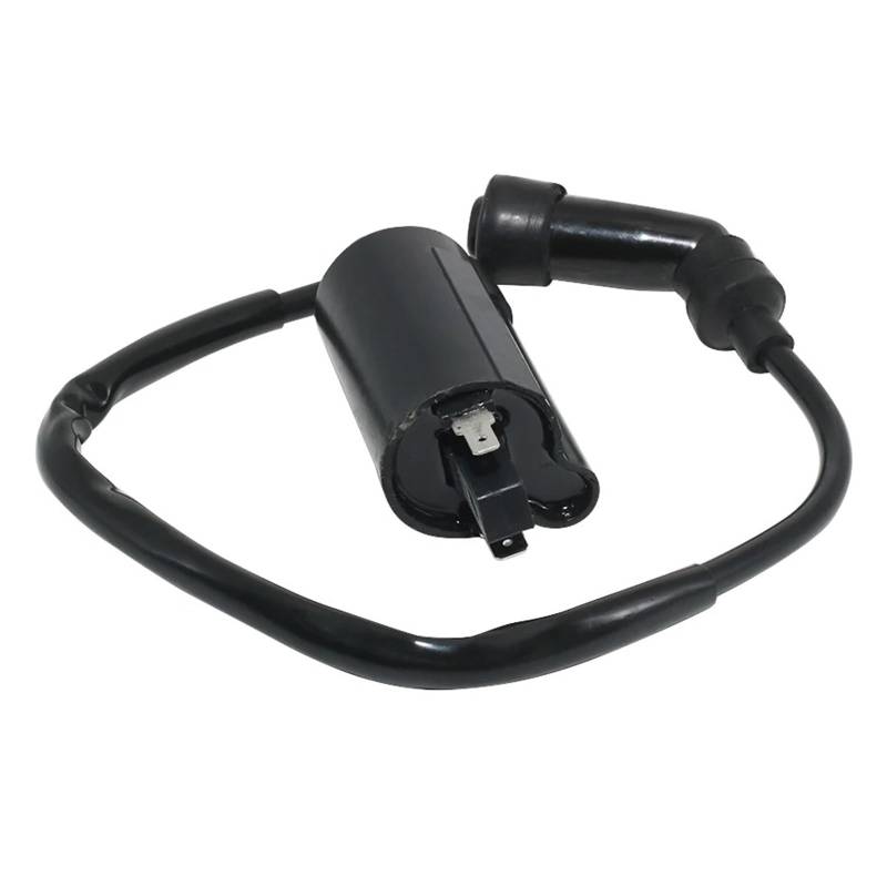 Zündspule Motorrad Starten Zündspule Für Suzuki Für EN125 EN125-2 TU125 DR200 DR200SE GN125 GS125 DF125 DF200 DR125 DR125SE 33410-05350 Motorrad-Zündkerze von WALEQW