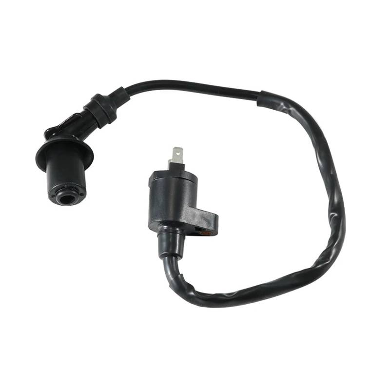 Zündspule Motorrad Zündspule Für Can-Am Mini DS 90 70 4T DS90 X DS70 MINI OEM: V30510CJF010 OEM: V30510CJF040LL Motorrad-Zündkerze von WALEQW