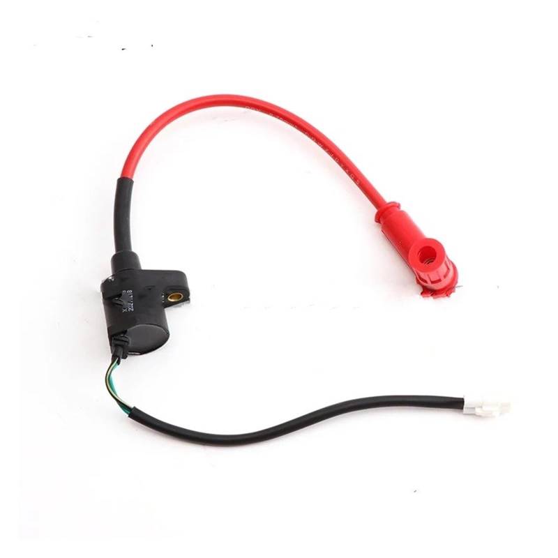 Zündspule Off-Road Motorrad ATV Vier-Rad Strand Auto Modifikation 50 70 90 110CC Hohe Spannung Paket Zündspule Zubehör Motorrad-Zündkerze von WALEQW
