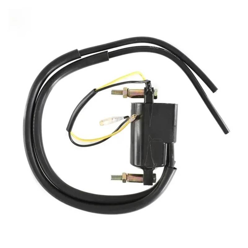 Zündspule Zündspulensatz Für Suzuki Für GS550 Für GS750 Für GS850 Für GS1000 2 Dual-Output-4-Ohm-Spulen Mit Zündkerzensteckern Motorrad-Zündkerze von WALEQW
