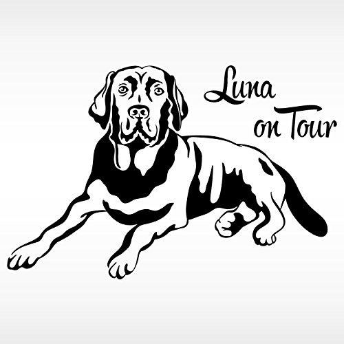Wandtattoo-Günstig X8076 Autoaufkleber Labrador + Wunschname on Tour schwarz schwarz von WANDTATTOO-GÜNSTIG-FFO