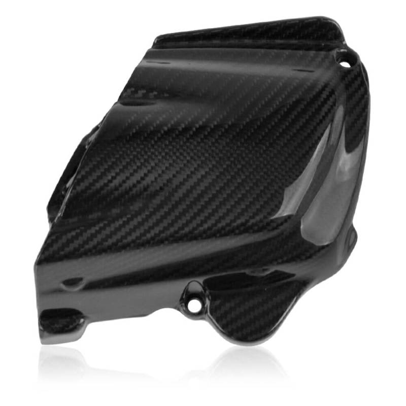 Variodeckel für Vespa GTS 300 Lufteinlass ECHTES Carbon Abdeckung glänzend von WE ARE RACING. RACEFOXX.COM