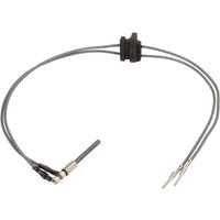 Flammsensor der Standheizung WEBASTO 82407A von Webasto