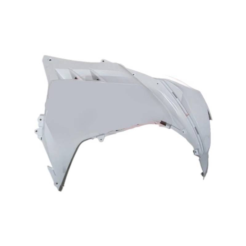 Motorrad Seite Wing Verkleidung Deflektor Für Ninja300 2013-2014-2015-2016-2017 Motorrad Unlackiert Teile 13-17 Karosserie Verkleidung Komponenten Pack von WENDMY