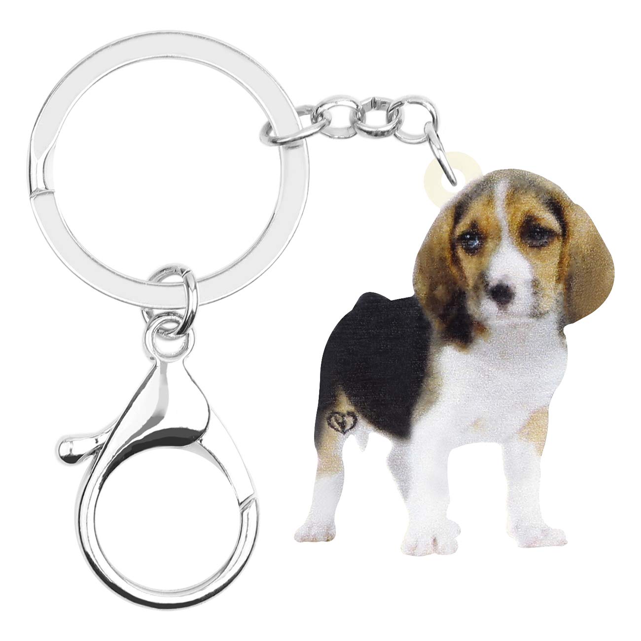 WEVENI Acryl niedlich Beagle Hund Schlüsselanhänger Zubehör für Frauen Mädchen Tasche Auto Charms (Beagle) von WEVENI JEWELRY