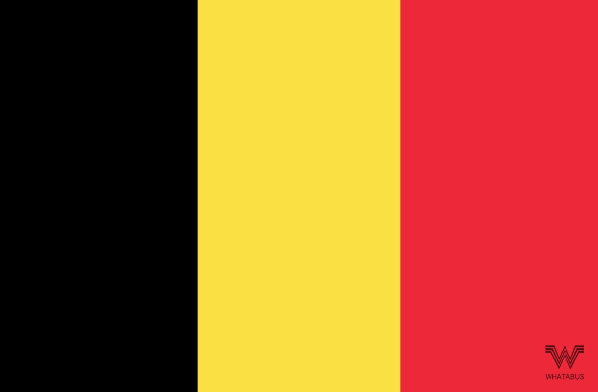 WHATABUS Belgien Flagge Aufkleber - Länderflagge als Sticker 8,5 x 5,5 cm von WHATABUS
