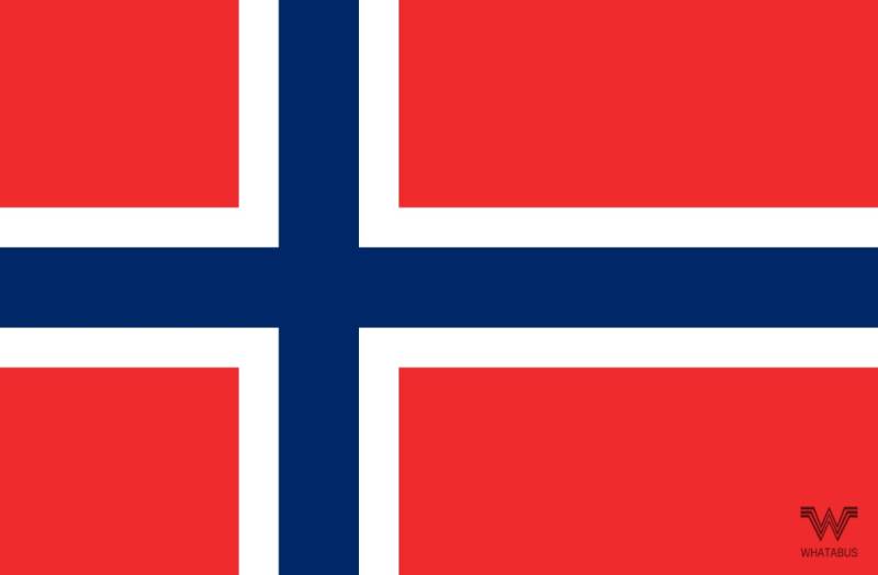 WHATABUS Norwegen Flagge Aufkleber - Länderflagge als Sticker 8,5 x 5,5 cm von WHATABUS