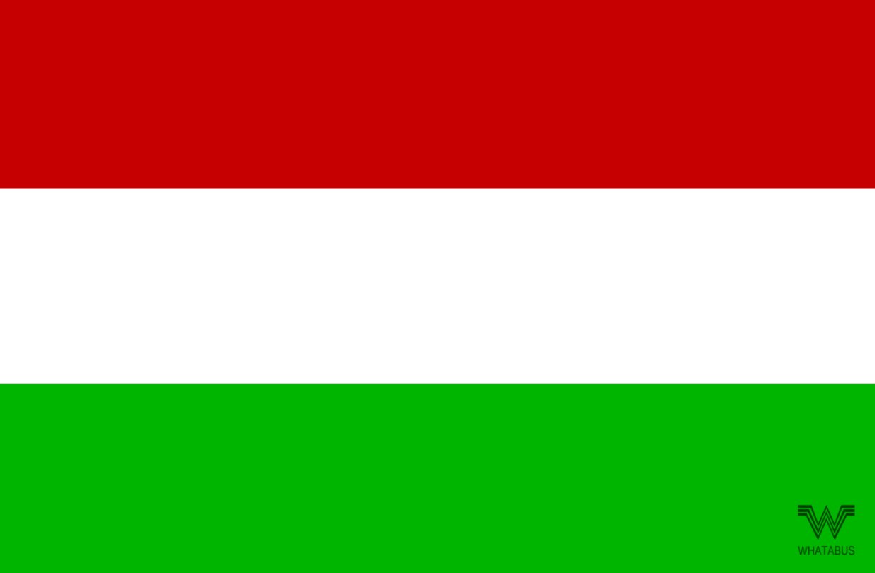 WHATABUS Ungarn Flagge Aufkleber - Länderflagge als Sticker 8,5 x 5,5 cm von WHATABUS