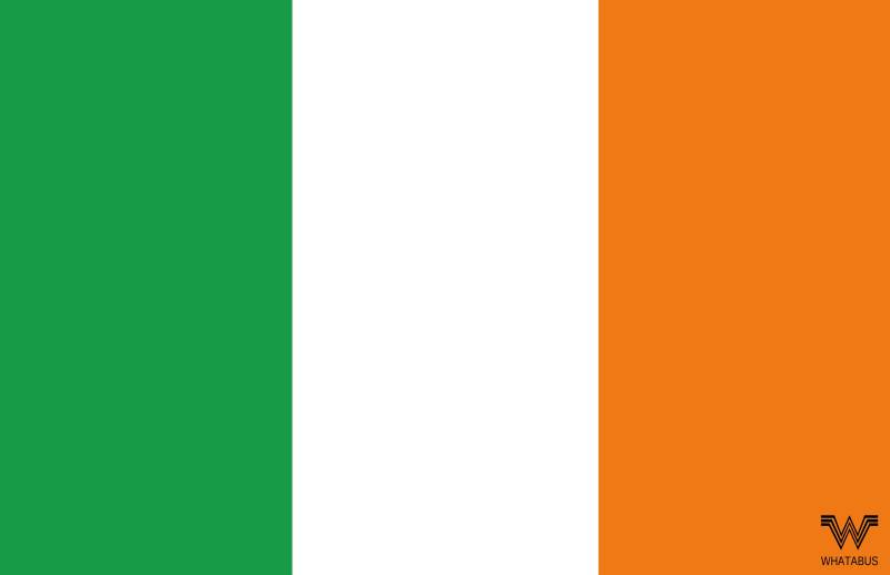 WHATABUS Irland Flagge Aufkleber - Länderflagge als Sticker 8,5 x 5,5 cm von WHATABUS
