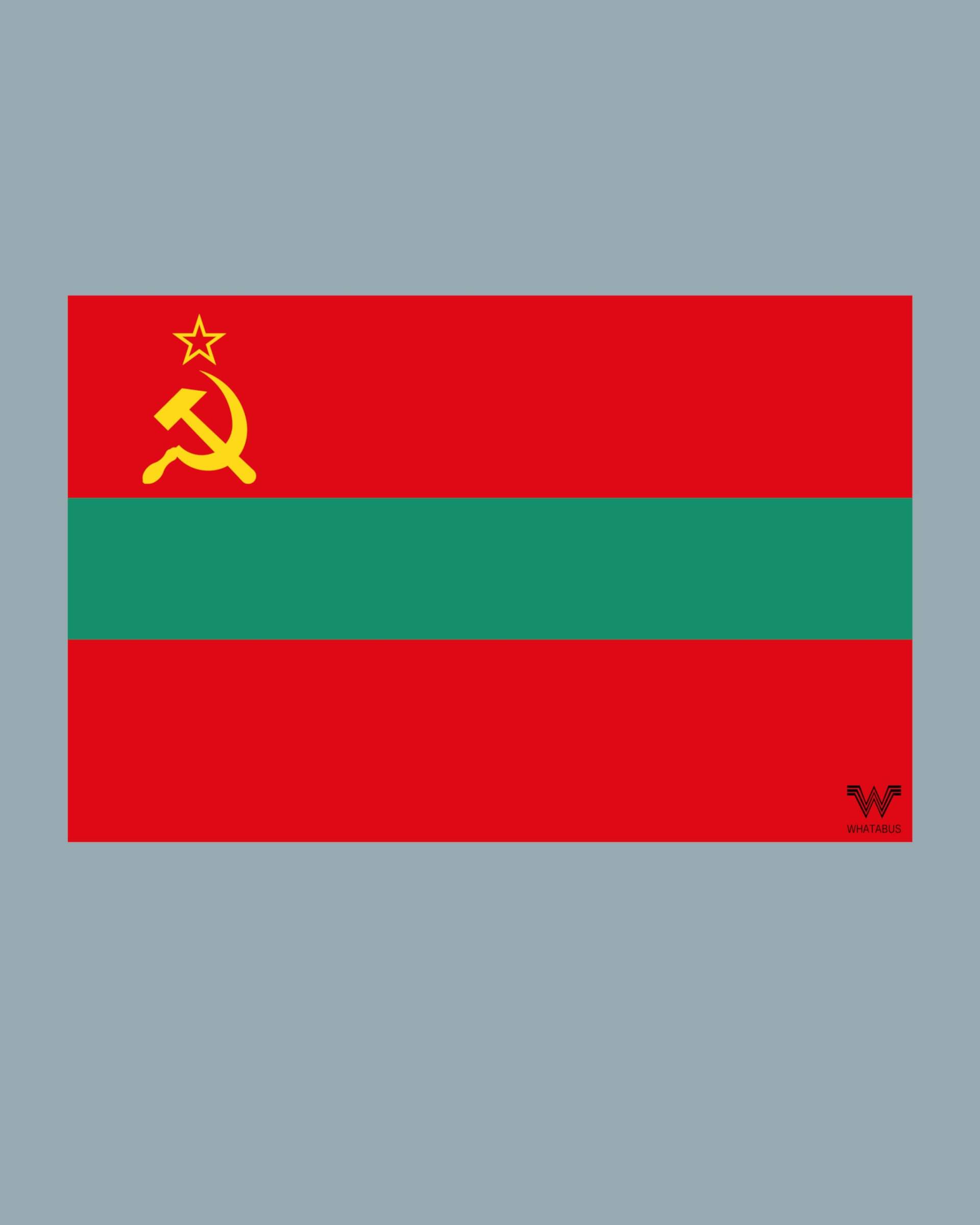 WHATABUS Transnistrien Flagge Aufkleber - Länderflagge als Sticker 8,5 x 5,5 cm WF203 WHATABUS Transnistrien Flagge Aufkleber - Länderflagge als Sticker 8,5 x 5,5 cm WF203 von WHATABUS