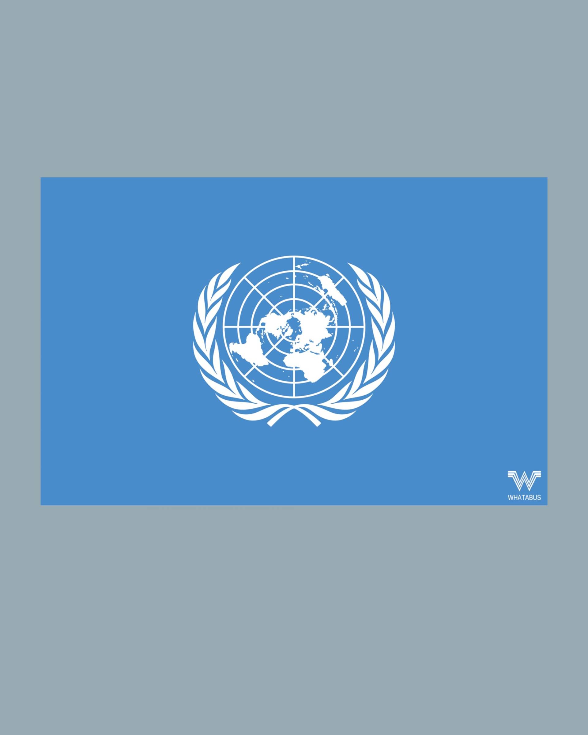 WHATABUS UN Vereinte Nationen Flagge Aufkleber - Länderflagge als Sticker 8,5 x 5,5 cm WF208 von WHATABUS