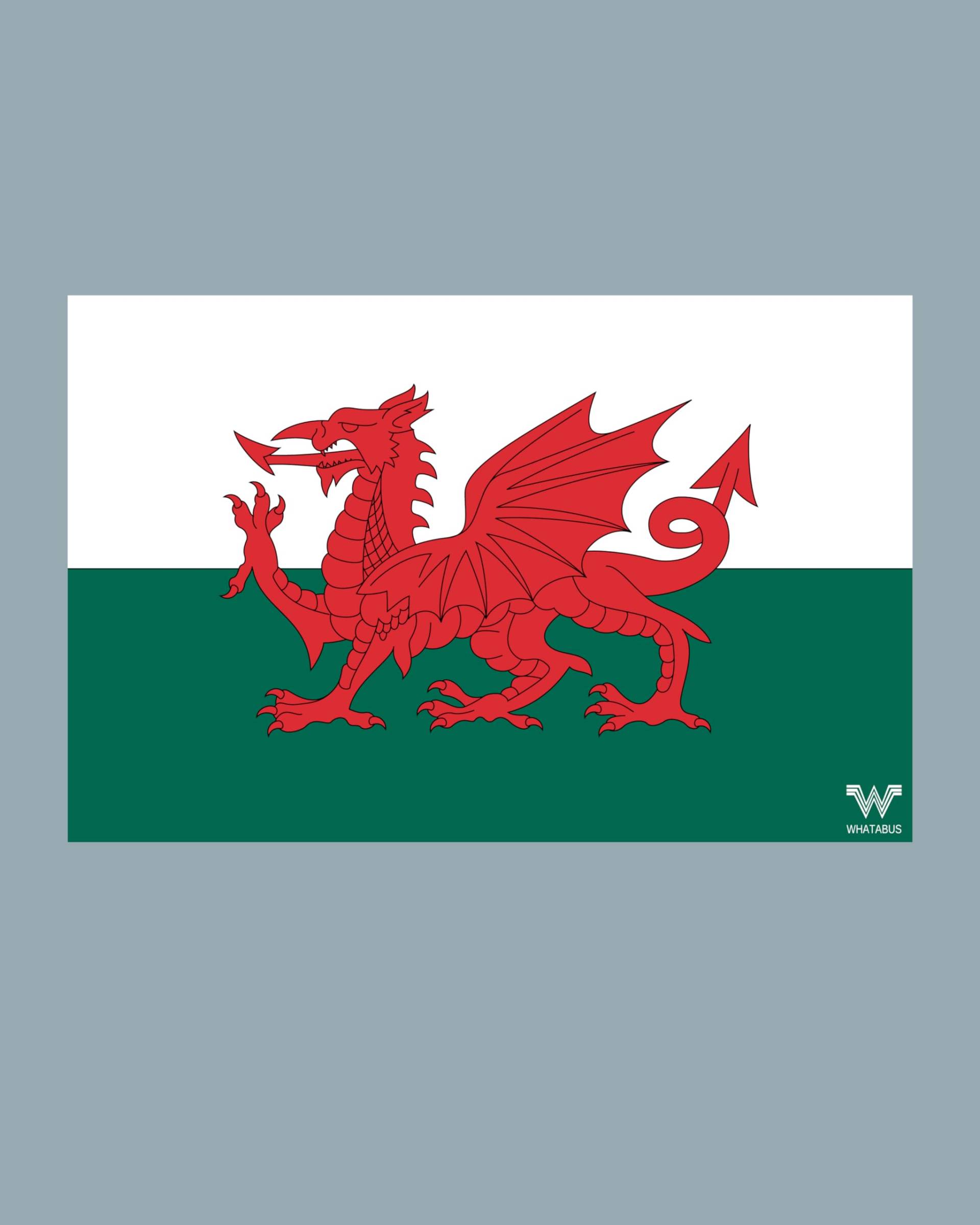 WHATABUS Wales Flagge Aufkleber - Länderflagge als Sticker 8,5 x 5,5 cm von WHATABUS