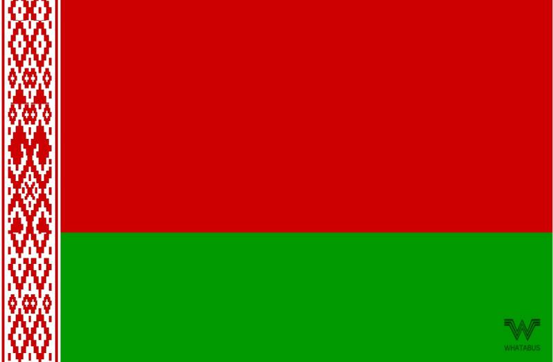 WHATABUS Weißrussland/Belarus Flagge Aufkleber - Länderflagge als Sticker 8,5 x 5,5 cm von WHATABUS