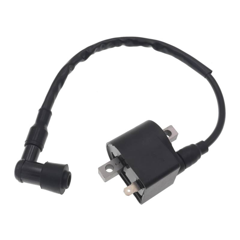 1 Stück Zündspule for LT50 LTA50 50cc 2-Takt AX100 A100 AK100 FR80 100cc Mi~i ATV Quad 4 Rad Motorrad Bike von WHSDCZ