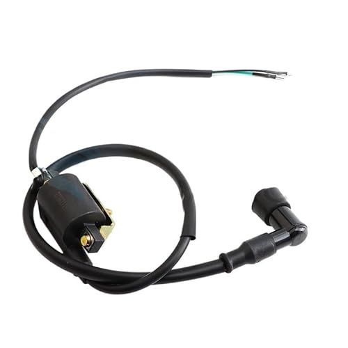 6 V 2-Draht-Zündspule for Ho~da XL185 XL XR 70 75 80 100 125 175 185 200 250 350 D50 CT70 CT90 C70 Moped-Roller-Zubehör von WHSDCZ
