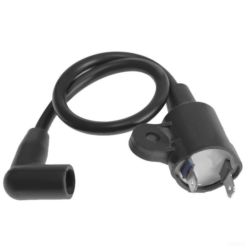 Ersatz-Zündspulen-Zubehör für Pulsar PG1202S 72CC Gasgeneratoren, von WIIYENA