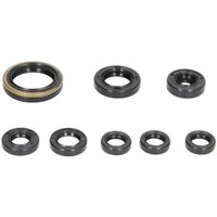 Motorsimmerringsatz WINDEROSA W822175 Motorsimmerringsatz WINDEROSA W822175 von Winderosa