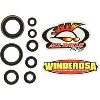Motorsimmerringsatz WINDEROSA W822274 von Winderosa