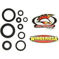 Motorsimmerringsatz WINDEROSA W822352 von Winderosa