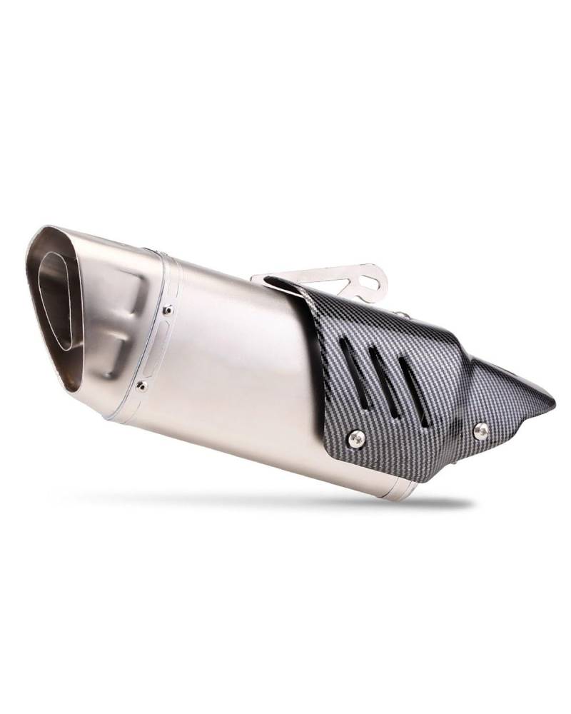 Motorrad Auspuff Für GSX250 Motorrad Schräge Dreieck Nachahmung Kohlefaserabdeckung Auspuffrohr Motorrad Auspuffrohr(Oblique Tail Silver) von WNCXSA
